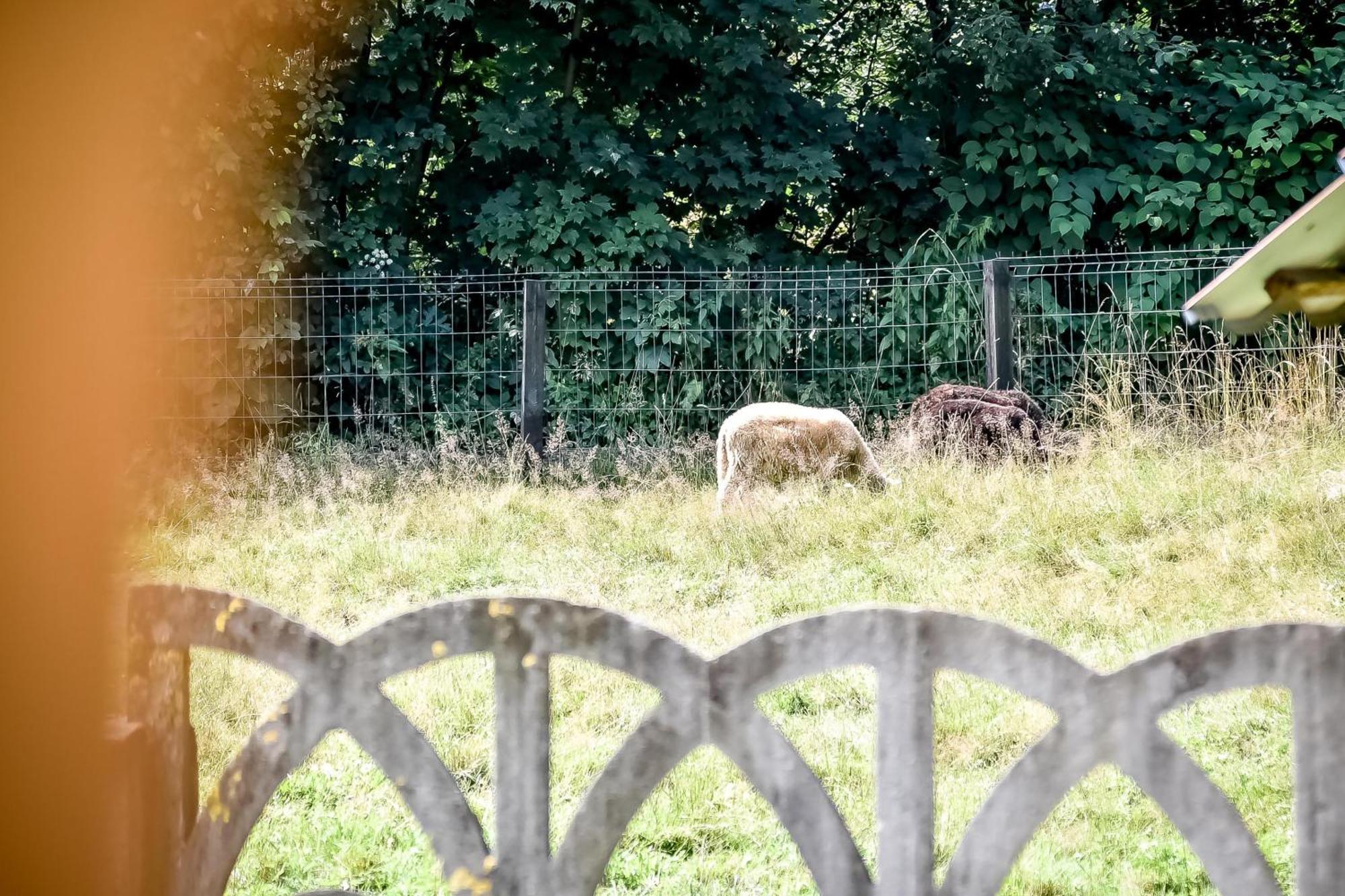 Domek Pod Brzyzkiem Bialka Tatrzanska Exterior foto